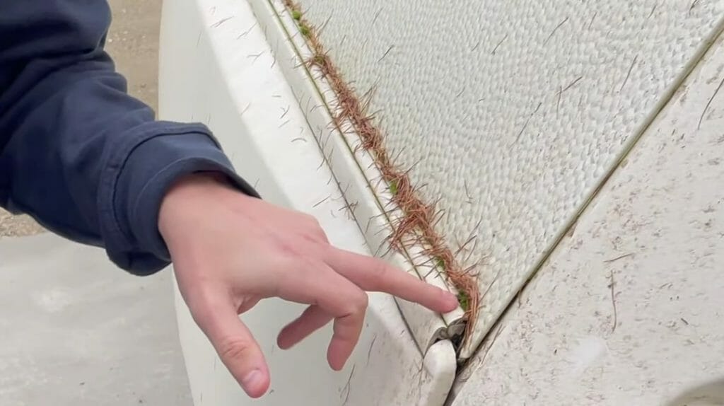 Alger på campingvogn